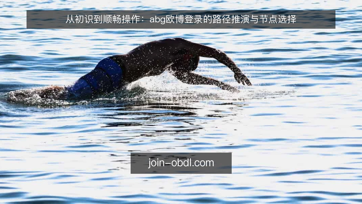 从初识到顺畅操作：abg欧博登录的路径推演与节点选择