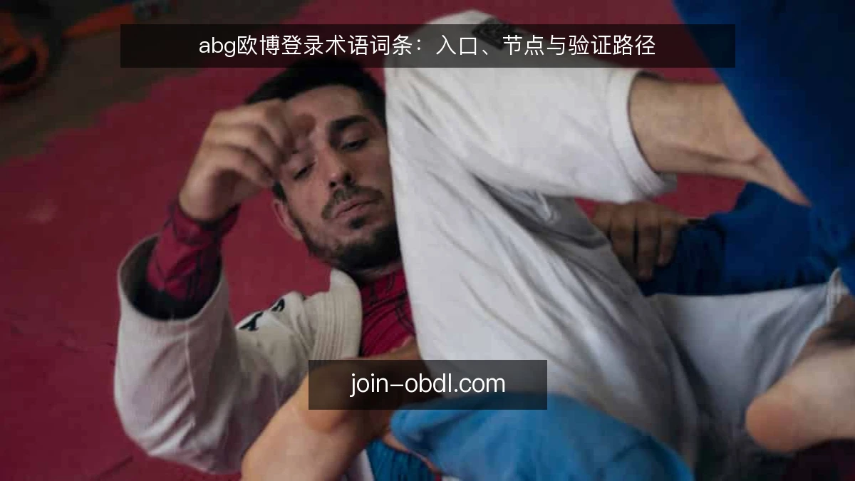 abg欧博登录术语词条：入口、节点与验证路径